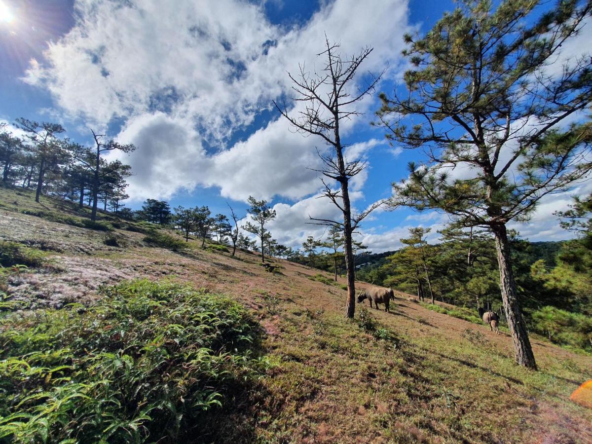Mon Bac Home Da Lat Esterno foto