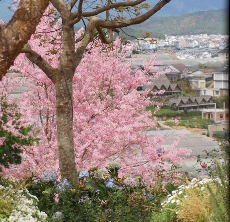 Mon Bac Home Da Lat Esterno foto